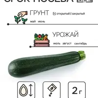 Семена Кабачок цукини "Цукеша", 2 г
