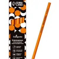 Набор карандашей чернографитных 12 штук, Calligrata Classic, заточенные, пластик, трехгранные, оранжевые