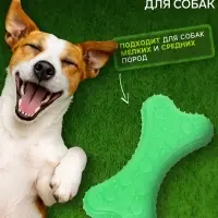 Жевательная игрушка для собак &laquo;Собачье удовольствие&raquo;, 10.5 см, суперпрочная, зелёная