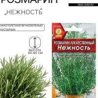 Семена Розмарин &laquo;Нежность&raquo;, 20 шт., &laquo;АЭЛИТА&raquo;