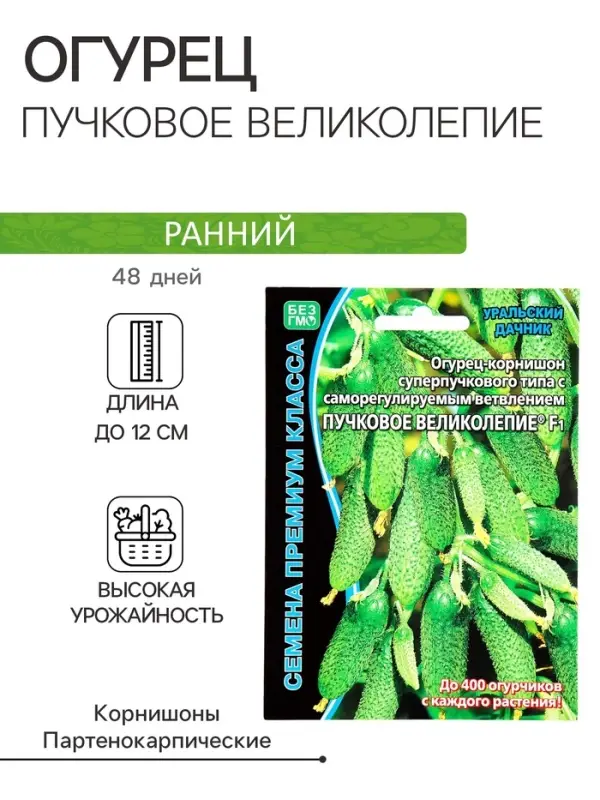 Семена огурец &laquo;Пучковое великолепие F1&raquo;, скороспелый, пучковый, партенокарпический, 5 шт.