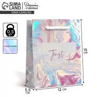 Пакет подарочный голографический, упаковка, «Present», 12 х 15 х 5.5 см Пакет подарочный голографический, упаковка, «Present», 12 х 15 х 5.5 см