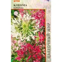Семена Клеома колючая "Королева" 0,2 г Семена Клеома колючая "Королева" 0,2 г
