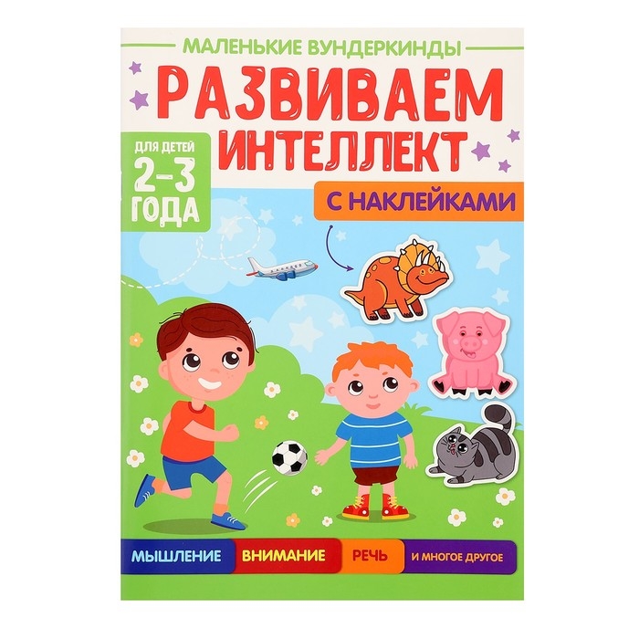Маленькие Вундеркинды «Развиваем интеллект», 2-3 года Маленькие Вундеркинды «Развиваем интеллект», 2-3 года