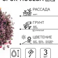 Семена Цветов Бакопа &laquo;Блутопия&raquo;, однолетник, 3 шт., &laquo;АЭЛИТА&raquo;