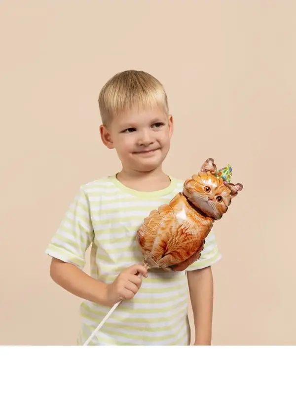 Воздушные шары фольгированные 17" &laquo;Котик в колпачке&raquo;, 5 шт., для палочек