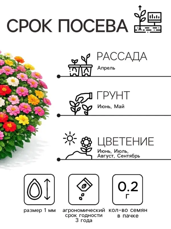 Семена цветов Цинния &laquo;Дюймовочка&raquo;, 0.2 г, &laquo;Рецепты дедушки Никиты&raquo;