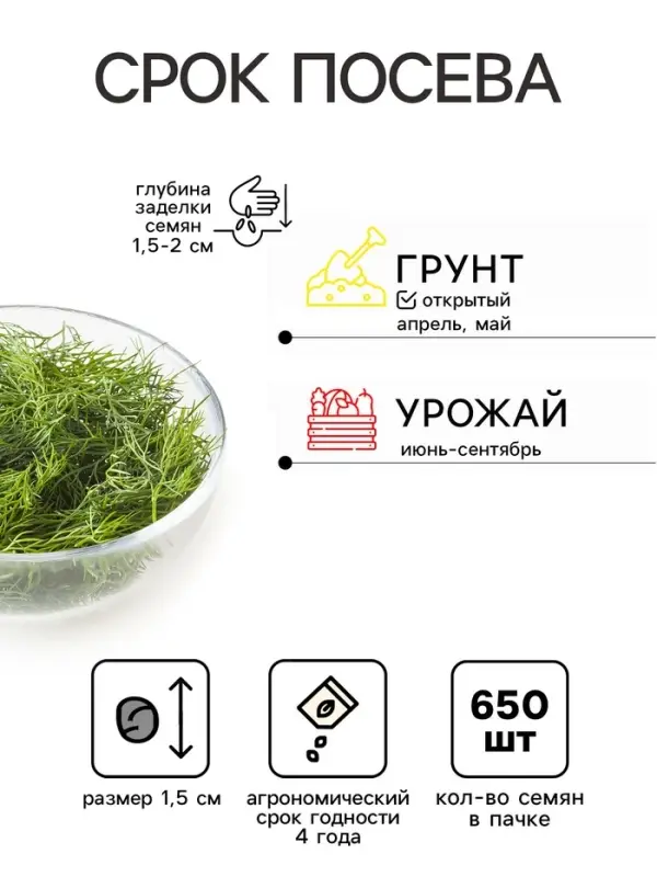 Семена Укроп &laquo;Оливер&raquo;, 650 шт., &laquo;Дом семян&raquo;