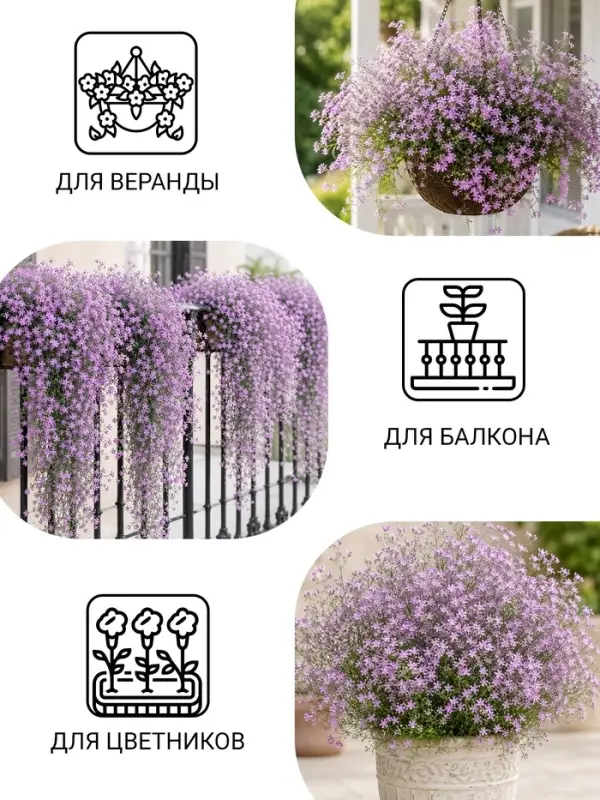 Семена цветов Гвоздика многолетняя лавандовая, 0,05 г