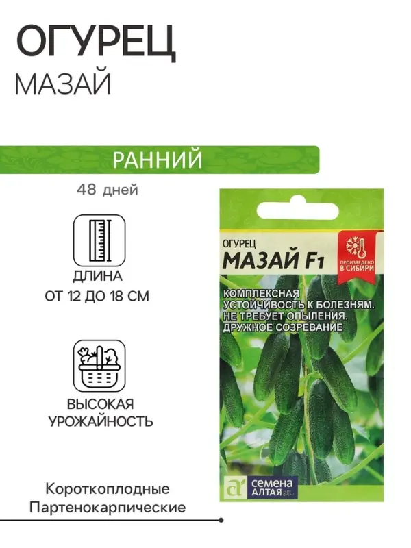 Семена Огурец &laquo;Мазай&raquo;, раннеспелый, партенокарпический, 5 шт., &laquo;Семена Алтая&raquo;