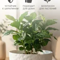 Горшок для цветов с поддоном &laquo;Ротанг&raquo;, 2 л, d=15 см, h=14 см, пластиковый, белый