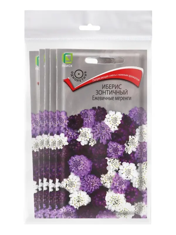Набор семян Иберис зонтичный Набор семян Иберис зонтичный "Ежевичные меренги", 5 шт.