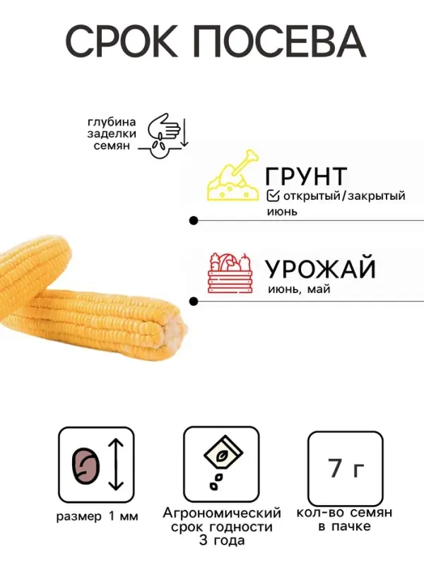 Семена Кукуруза попкорн &laquo;Лопай-лопай&raquo;, 7 г, &laquo;Аэлита&raquo;