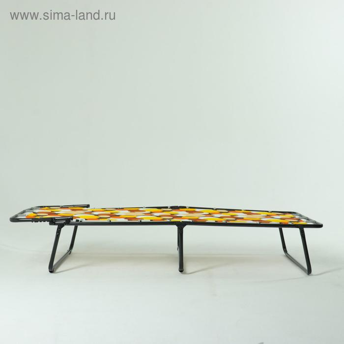 Раскладушка детская Раскладушка детская "Малыш" с регулируемым подголовником, 145х65х23см