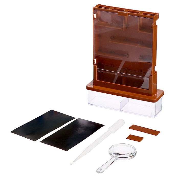 Набор для опытов «Лабиринт для цветка» Набор для опытов «Лабиринт для цветка»