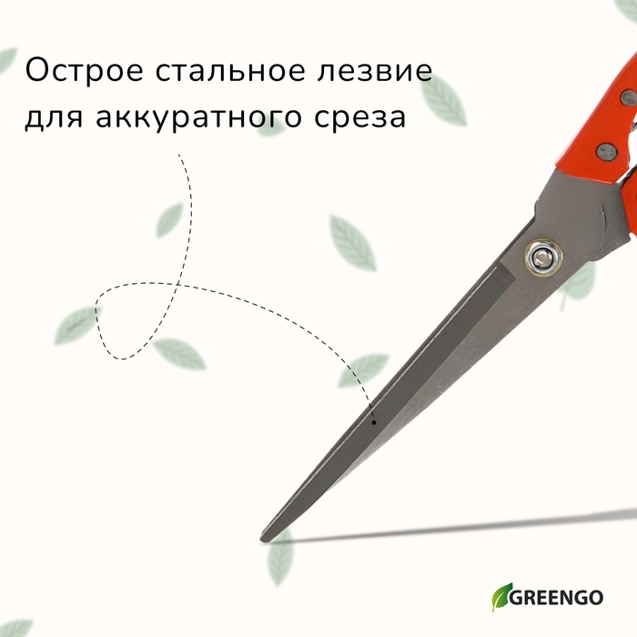 Ножницы садовые, 12 Ножницы садовые, 12" (31 см), с металлическими ручками