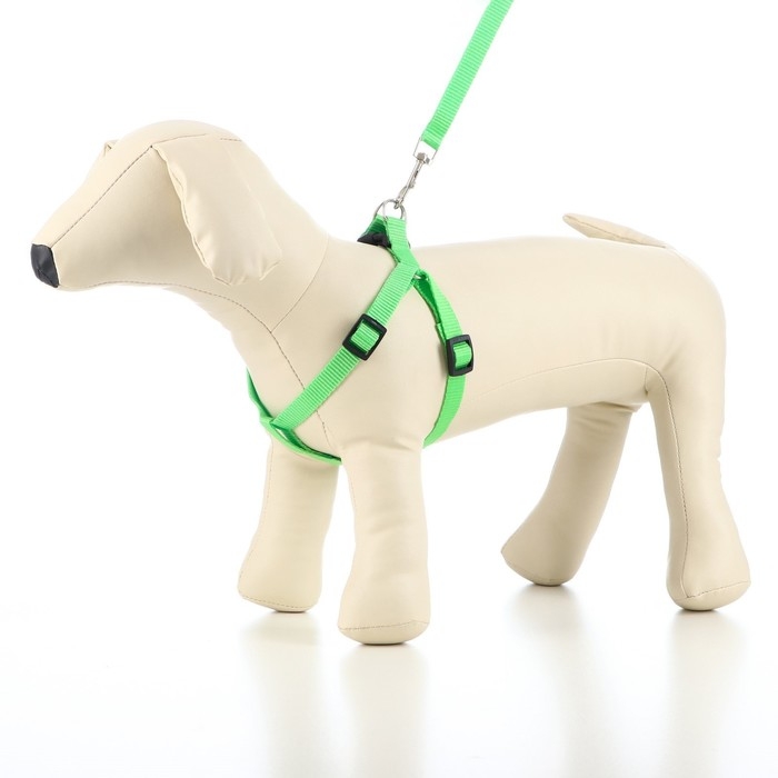 Комплект  Комплект "Базис", поводок 120 х 1,5 см, шлейка 32-46 х 1,5 см, зелёный