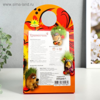 Растущий подарок травка "Лягушка" Растущий подарок травка "Лягушка"