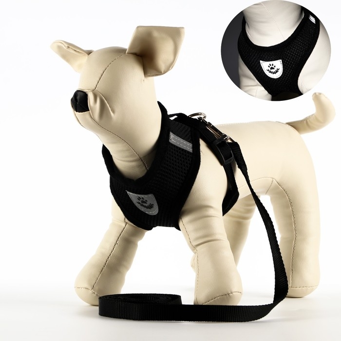 Комплект амуниции со светоотражающей нашивкой, S, ОШ 24 см, ОГ 28-33 см, чёрный Комплект амуниции со светоотражающей нашивкой, S, ОШ 24 см, ОГ 28-33 см, чёрный