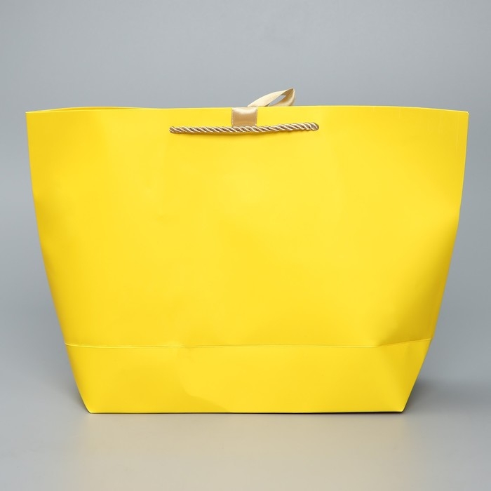 Пакет подарочный, упаковка, «For you», 26 х 25 х 11 см Пакет подарочный, упаковка, «For you», 26 х 25 х 11 см