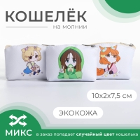 Кошелёк на молнии, цвет МИКС