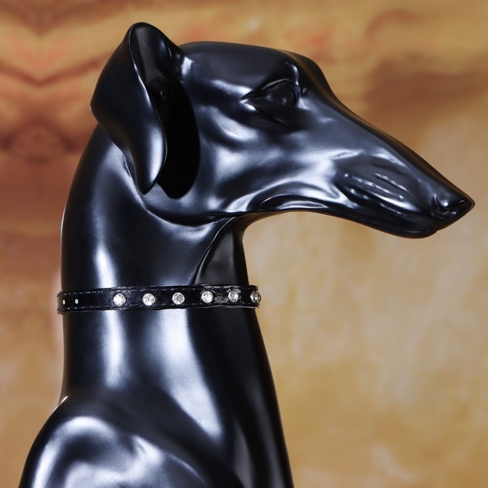 Ошейник с круглыми стразами, 28 х 1 см, ОШ 21-25 см, искусств. кожа, чёрный Ошейник с круглыми стразами, 28 х 1 см, ОШ 21-25 см, искусств. кожа, чёрный