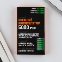 Зарядное устройство «100% заряд», 5000мА