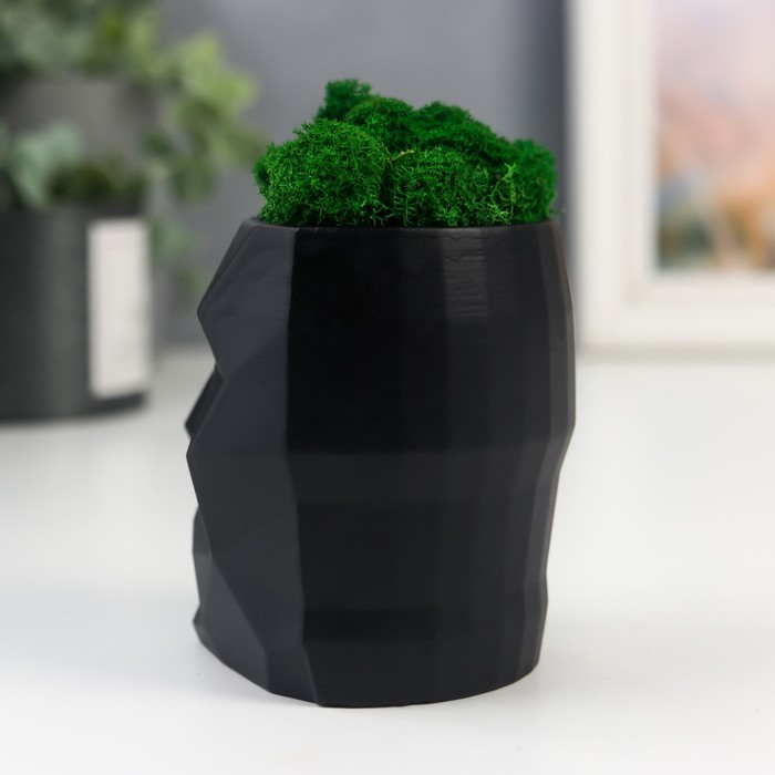 Кашпо бетонное Кашпо бетонное "Голова" со мхом высота 8,5 см черное (мох зеленый стабилизированный)