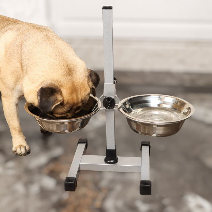 Подставка с мисками, 2 х 700 мл, высота 40 см, разборная с верхним фиксатором, хром Подставка с мисками, 2 х 700 мл, высота 40 см, разборная с верхним фиксатором, хром
