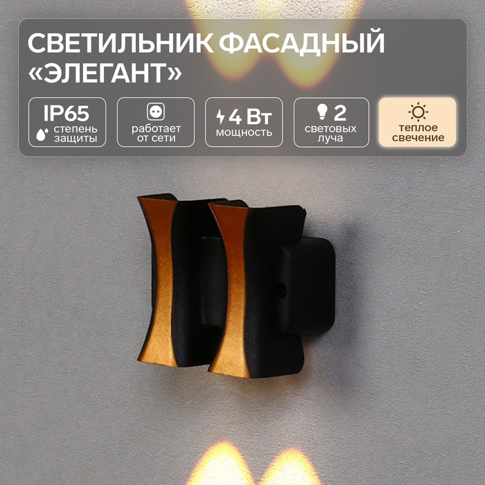 Светильник фасадный «Элегант», FSD-043, 4 Вт, 3000К, 2 луча, IP65, 220 В, пластик, черный Светильник фасадный «Элегант», FSD-043, 4 Вт, 3000К, 2 луча, IP65, 220 В, пластик, черный