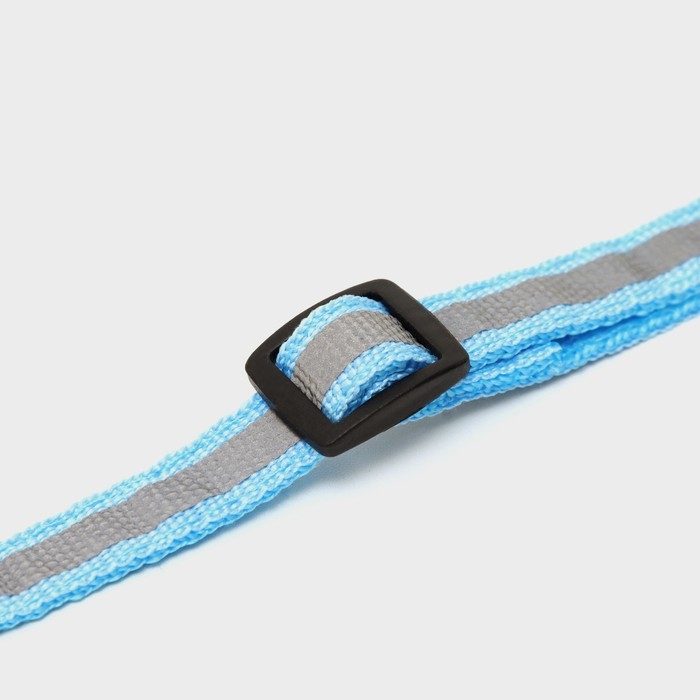 Ошейник кошачий светоотражающий, 19-32 х 1 см, голубой Ошейник кошачий светоотражающий, 19-32 х 1 см, голубой