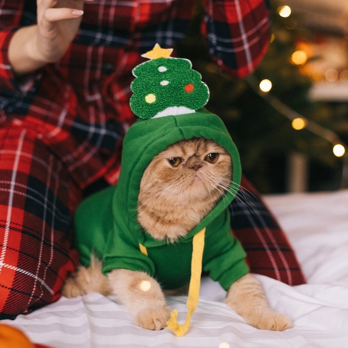 Костюм для животных Костюм для животных "Ёлка", размер L, зелёный