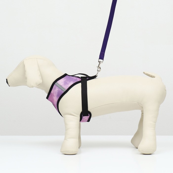 Комплект для собак 3-5 кг, размер S, поводок 120 х 1,5 см, ОШ 24 см, ОГ 34 см Комплект для собак 3-5 кг, размер S, поводок 120 х 1,5 см, ОШ 24 см, ОГ 34 см