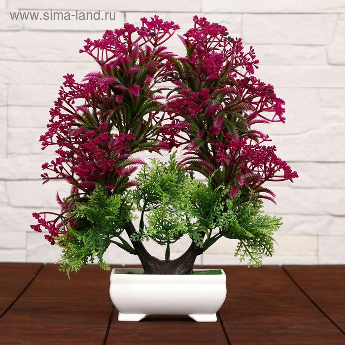 Бонсай в горшке Бонсай в горшке "Остролист мелкие ягодки" 23х24 см, микс