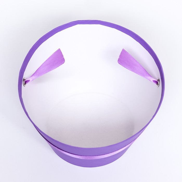 Переноска конус под цветы, фиолетовый 11,5 х 17 х 12 см Переноска конус под цветы, фиолетовый 11,5 х 17 х 12 см