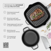 Жаровня чугунная Wild Kitchen, d=26 см, h=6,6 см