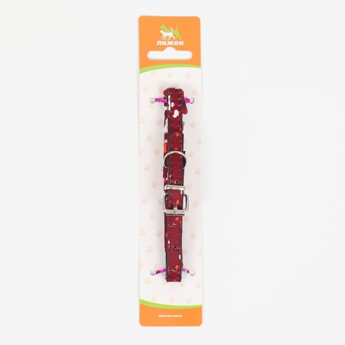 Ошейник с косынкой Ошейник с косынкой "Яркая жизнь", 32 х 1 см, бордовый