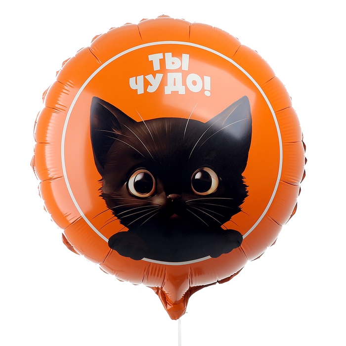 Воздушный шар фольгированный 18 Воздушный шар фольгированный 18" "Котик. Ты чудо", круг, набор 5 шт.