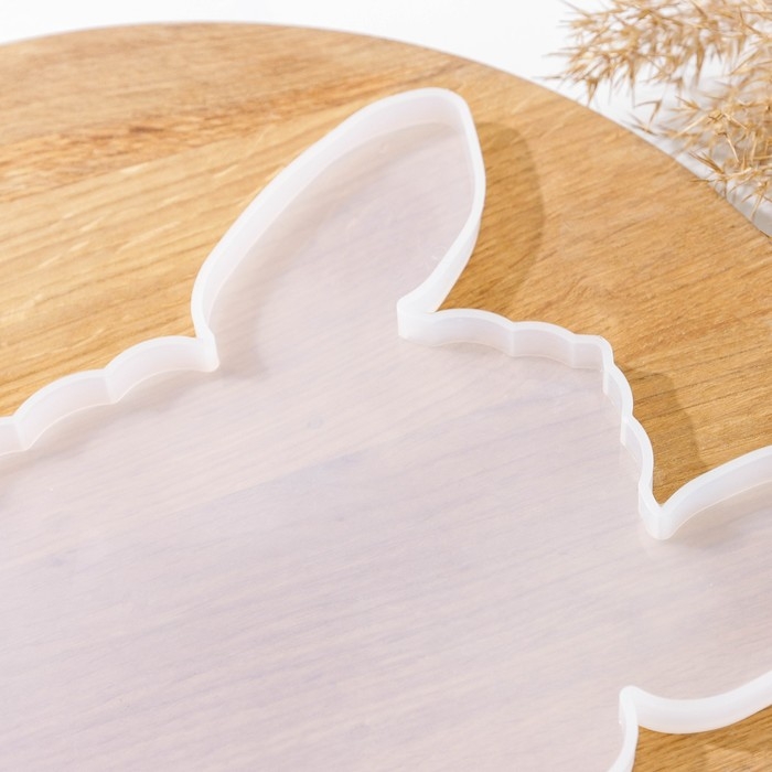 Молд «Черепаха», силикон, 31×26×1 см, прозрачный Молд «Черепаха», силикон, 31×26×1 см, прозрачный