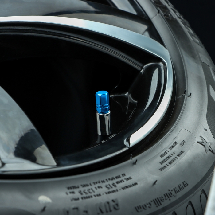 Колпачок на вентиль TORSO, сине-голубой, набор 4 шт Колпачок на вентиль TORSO, сине-голубой, набор 4 шт