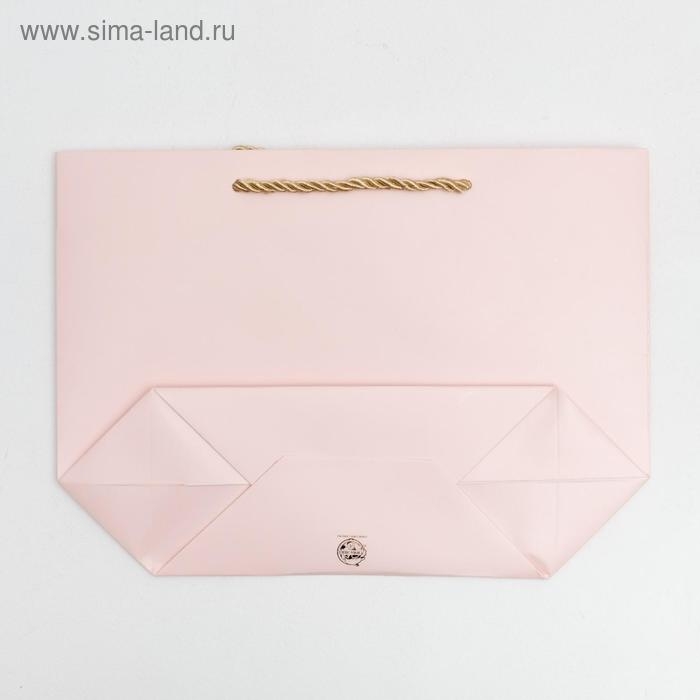 Пакет подарочный, упаковка, «Best wishes», 19 х 20 х 9 см Пакет подарочный, упаковка, «Best wishes», 19 х 20 х 9 см