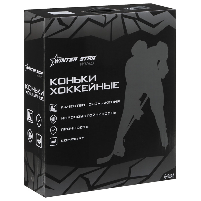 Коньки хоккейные прокатные Winter Star, р. 47 Коньки хоккейные прокатные Winter Star, р. 47