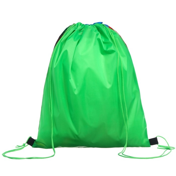 Мешок для обуви 420*330 мм,  Мешок для обуви 420*330 мм, "Микки, Дональд и Гуфи", Микки Маус и друзья