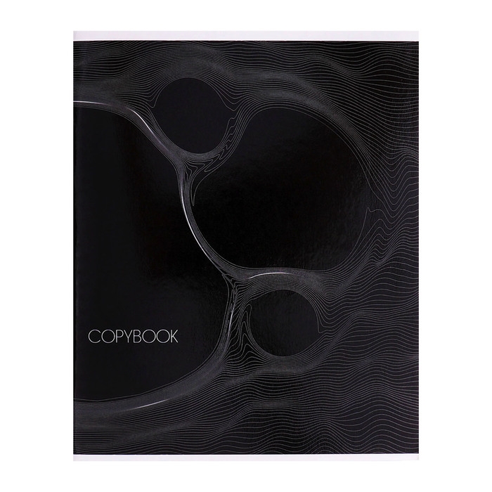 Тетрадь 96 листов в клетку Calligrata Тетрадь 96 листов в клетку Calligrata "Графика 2", обложка мелованный картон, глянцевая ламинация, блок офсет МИКС