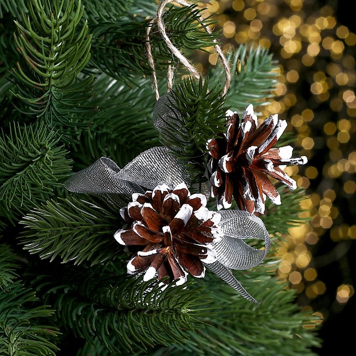 Новогодняя подвеска «Шишка и веточка» набор 2 шт. Новогодняя подвеска «Шишка и веточка» набор 2 шт.