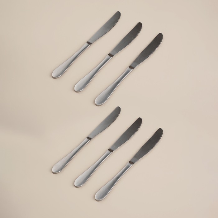 Набор столовых приборов из нержавеющей стали «Классик», 24 предмета, в коробке, цвет серебряный Набор столовых приборов из нержавеющей стали «Классик», 24 предмета, в коробке, цвет серебряный