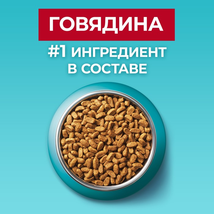 Сухой корм Purinа One для стерилизованных кошек, говядина/пшеница, 750 г Сухой корм Purinа One для стерилизованных кошек, говядина/пшеница, 750 г