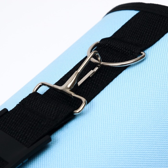 Сумка - переноска для животных Сумка - переноска для животных "Сонный пёсик", каркасная, размер M, 40 х 21 х 27 см, голубая