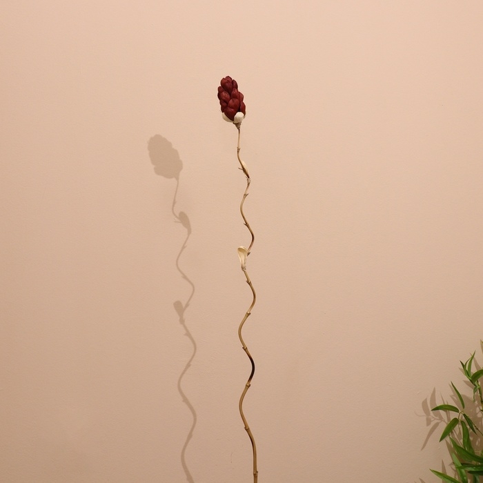 Сухоцвет на бамбуковом стебле 150 см фиолетовый Сухоцвет на бамбуковом стебле 150 см фиолетовый