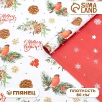 Бумага упаковочная глянцевая двусторонняя &laquo;С Новым годом&raquo;, 70&times;100 см